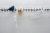 Photograph shows black barbed metal work installed on a white wall. This cuts through the photograph about two thirds up from the bottom of the image. Snagged on the metal are some plastic bags and an umbrella.
