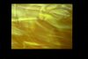 From Cara Tolmie's exhibition. A screen displays a glossy, yellow, shiny image.
