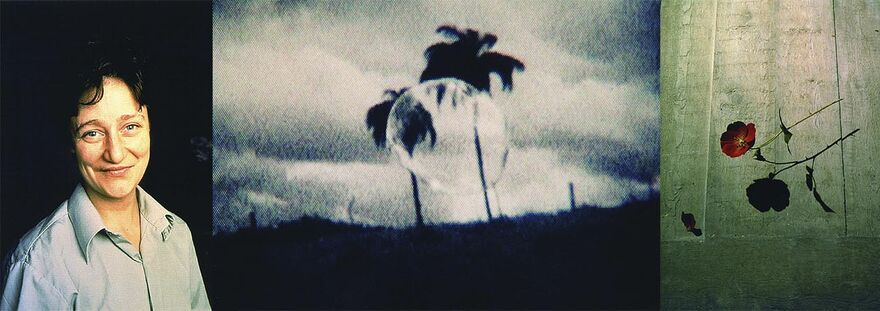 Selected images from The Eye of the Beholder. A photograph of a person smiling, then a blurry picture of a palm tree, and then a photograph of a red flower with a harsh shadow.